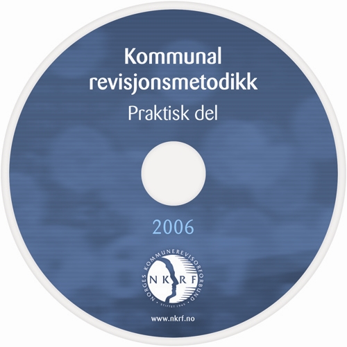 Revisjonsmetodikkens praktiske del (RPD-en)