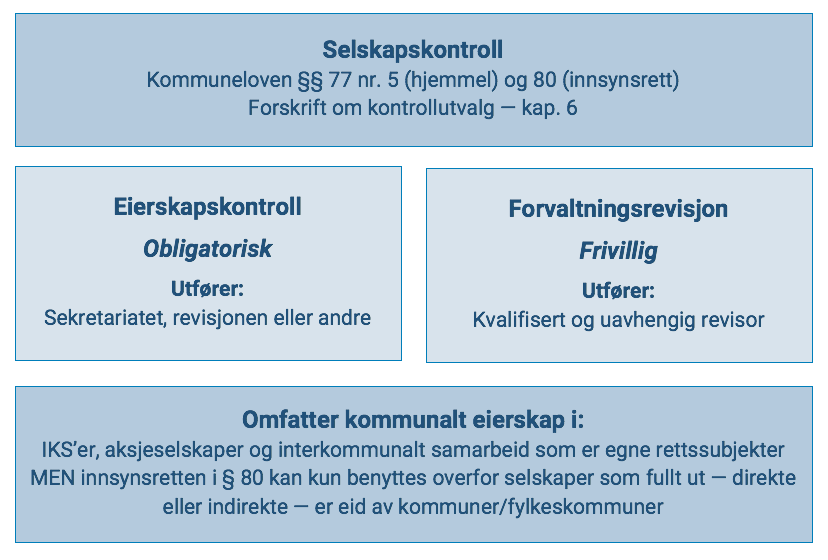 Figur 4 Selskapskontroll En Overordnet Skisse
